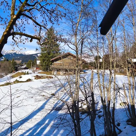 In An Ideal Mountain Chalet! Apartment Megeve